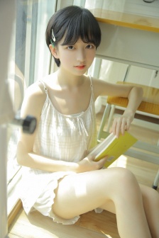 佛兰德斯的狗